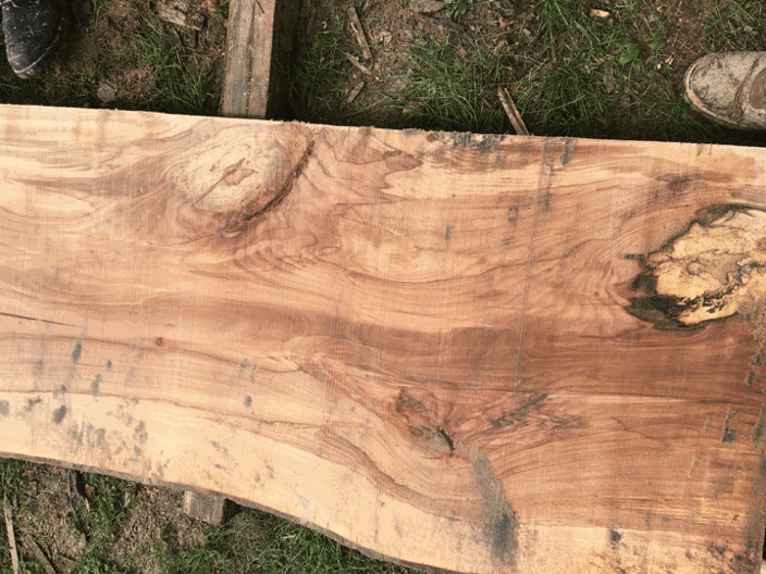 Copper beech live edge slab