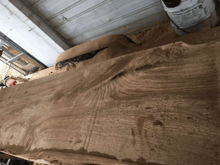 Elm Slab from enon